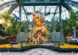 Bellagio Resort 2