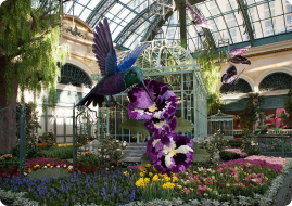 Bellagio Resort 4